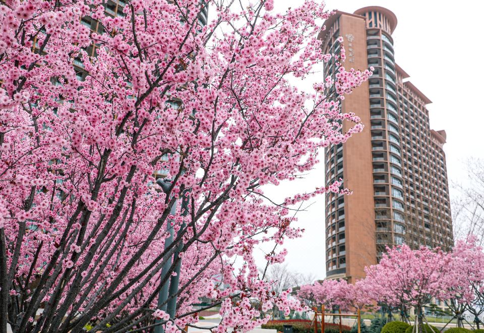 Mangrove Tree Resort World (Coral Tower) Hotel Overview