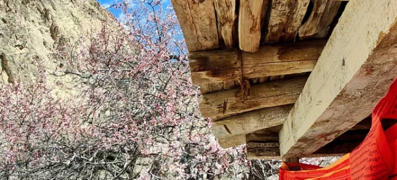 三生三世太空舱茗苑图片