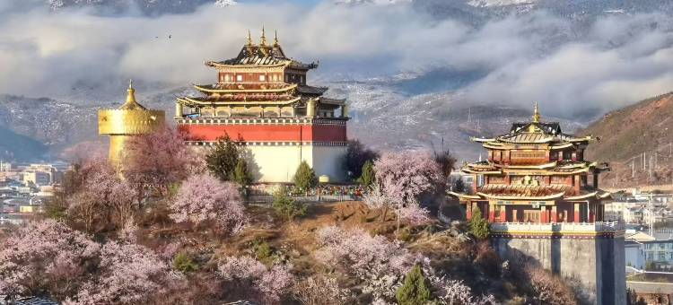 香格里拉良汐小筑民宿(独克宗古城大佛寺转经筒店)图片