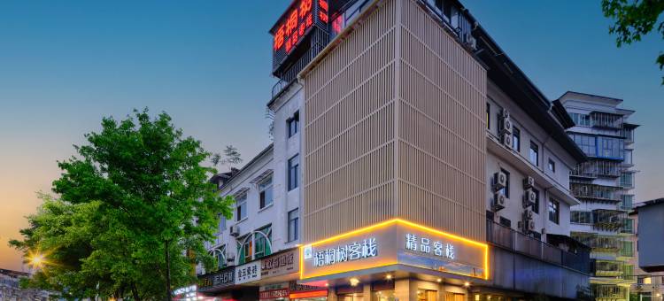 武夷山梧桐树精品客栈图片