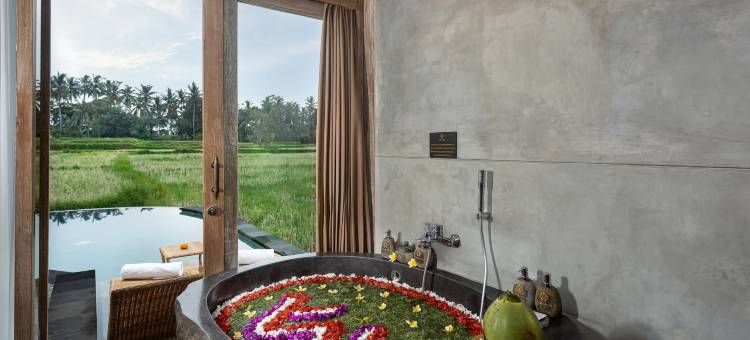 thewakanda A Pramana Experience图片