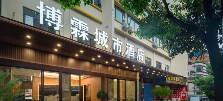 博霖城市酒店(六盘水火车高铁站店)图片