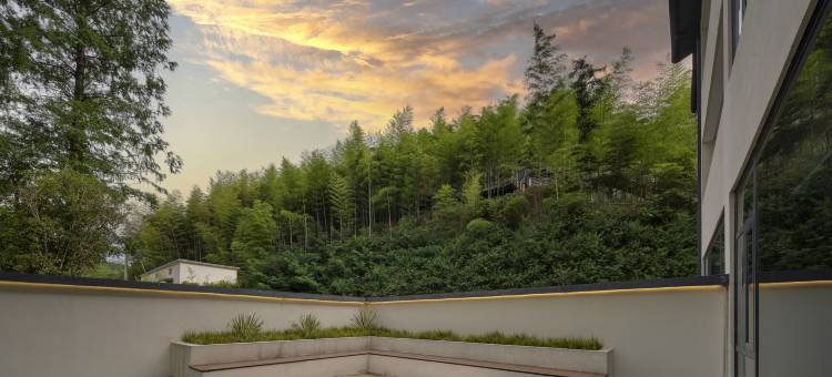 安吉竹仙湖君澜庄园·汤泉酒店图片