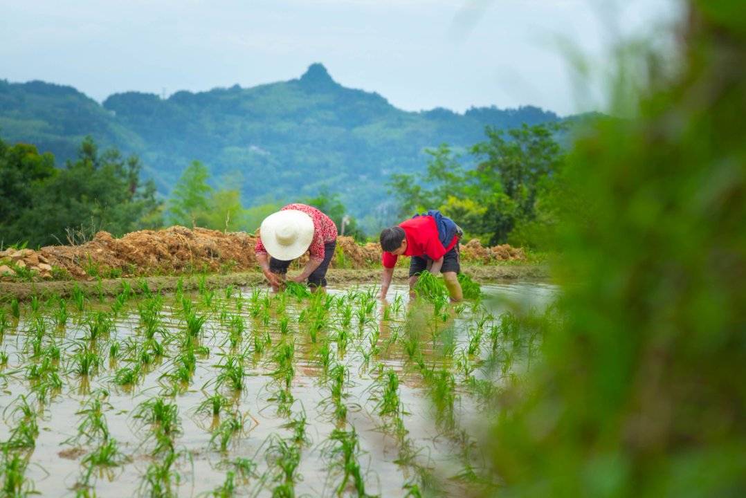 携程度假农庄(地球仓新余联营店)图片