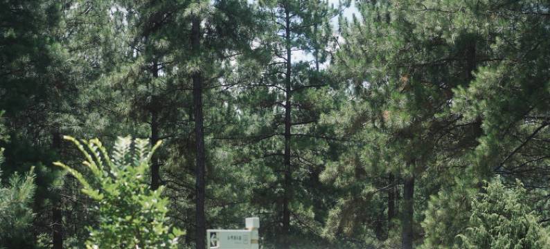 安吉九亩松风帐篷酒店图片