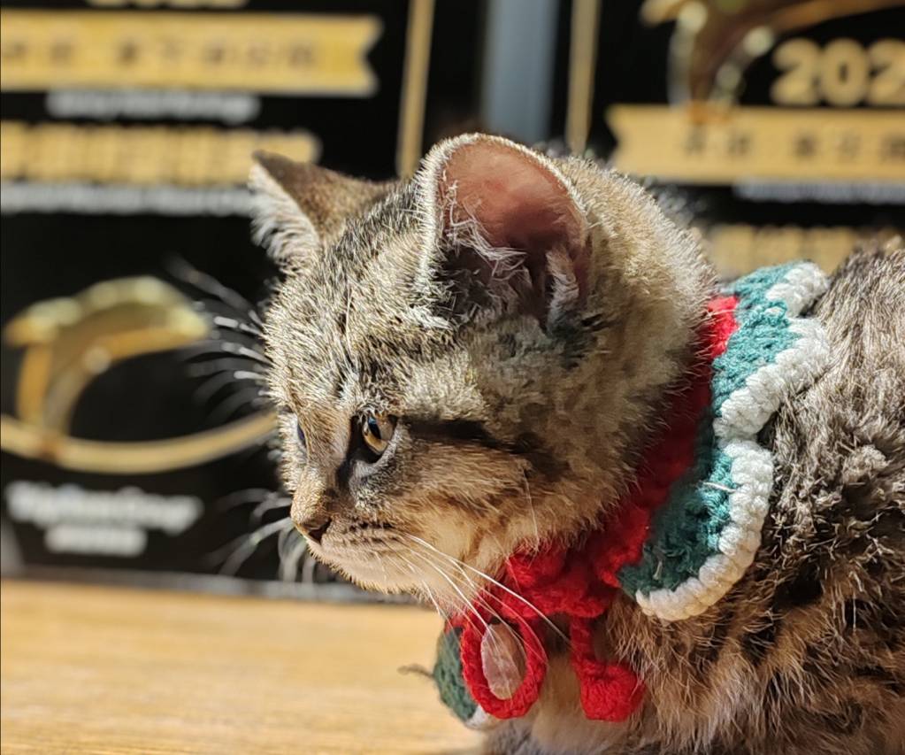 承德绮望楼宾馆(避暑山庄店)图片