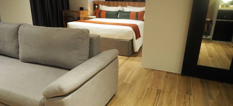 马尼拉诺富尔酒店(Novel Hotel Manila)图片