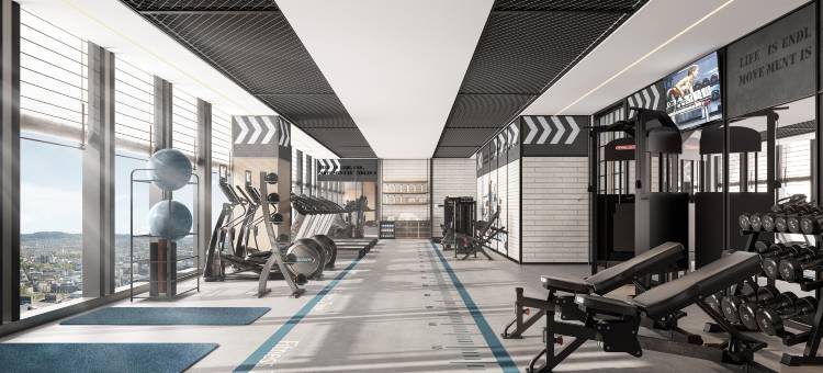 合肥高新福朋喜来登酒店图片