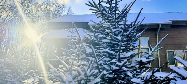 长白山观池欢墅图片