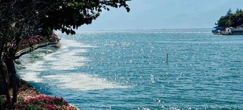 大理春与溪长・VIEWS 露台观海客栈(双廊风景区玉几岛店)图片