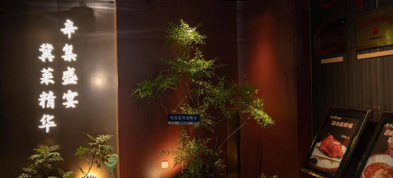 维也纳酒店(辛集电视塔店)图片