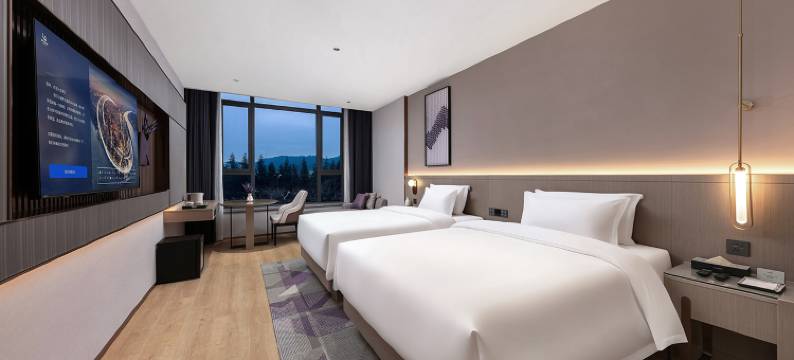 麗枫酒店(商洛市政府万达广场店)图片