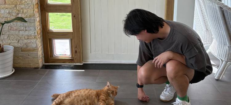 寿丰绿舍 亲子民宿 | 近东华大学、水岸星巴克  OwlStay故事所图片