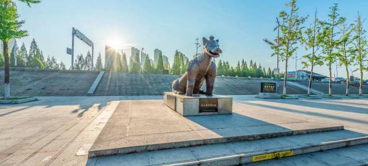 江陵丨云成熙琳·悦居酒店(仙鹤路店)图片