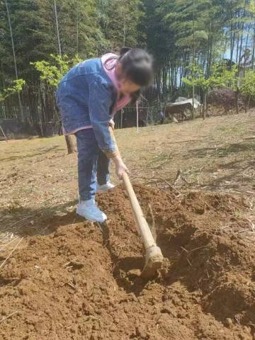 宜兴沁园春池民宿(窑湖小镇龙池山景区店)图片