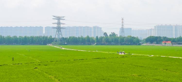 稻梦空间民宿(中山崖口店)图片