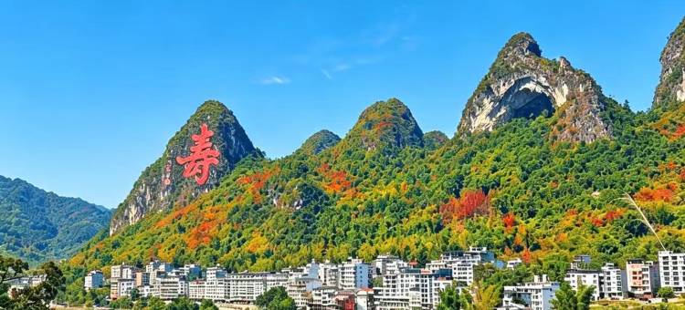 巴马秘境福地酒店(长寿村店)图片