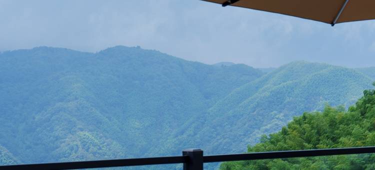 微泮·云栖竹海温汤泳池观景轻奢度假美宿(安吉藏龙百瀑店)图片