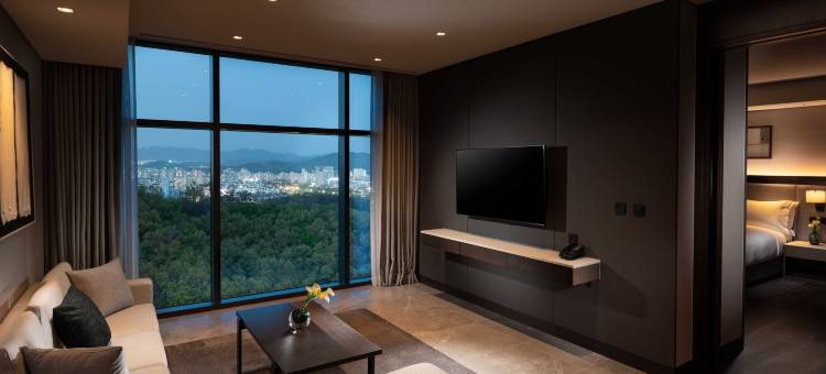 首尔板桥希尔顿逸林公寓酒店(DoubleTree by Hilton Seoul Pangyo Residences)图片