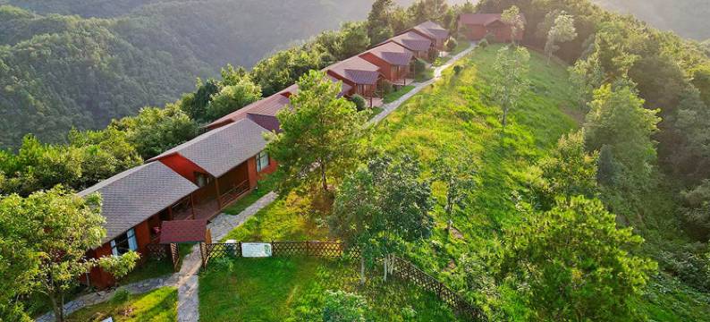 天池山云端木屋图片