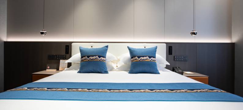 新密乐元精品酒店图片