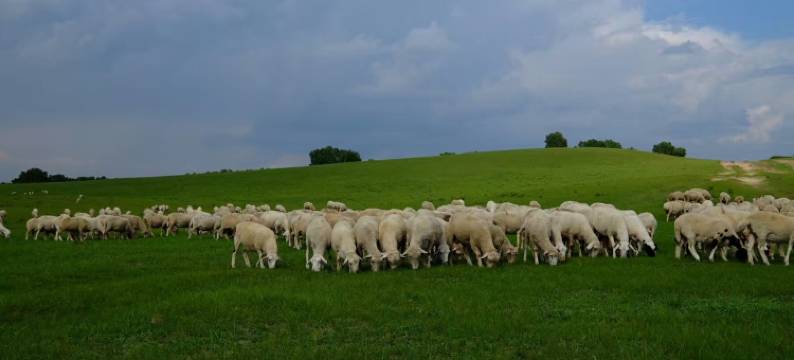 围场明月客栈图片