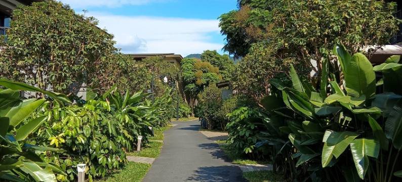 龙门南昆山居诗蜜月·私汤温泉别墅图片