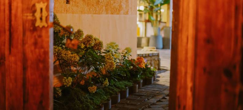 弥勒可邑小镇合木别院图片