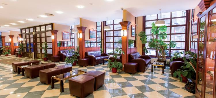 多瑙比斯-伊萨贝特市中心酒店(Danubius Hotel Erzsébet City Center)图片
