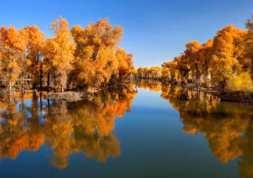 君羊酒店(阿克苏金兰广场老街夜市店)图片