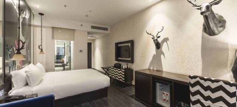 桔子酒店(上海长风公园店)图片