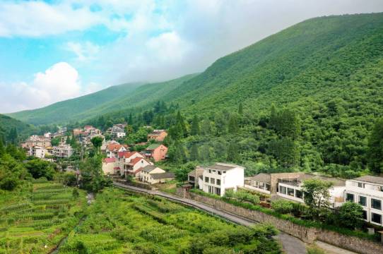 莫干山隐花坞·泳池度假民宿图片
