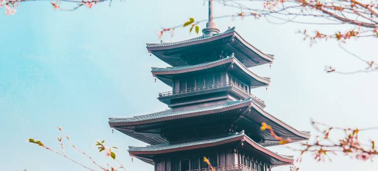 黄梅问梅村客栈图片
