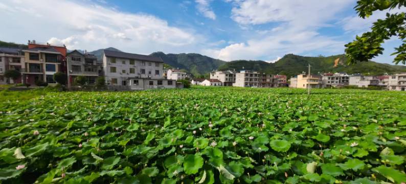 游居民宿(望仙谷店)图片