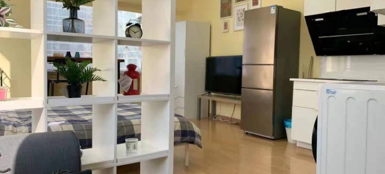 陆杨公寓(陆家嘴店)图片