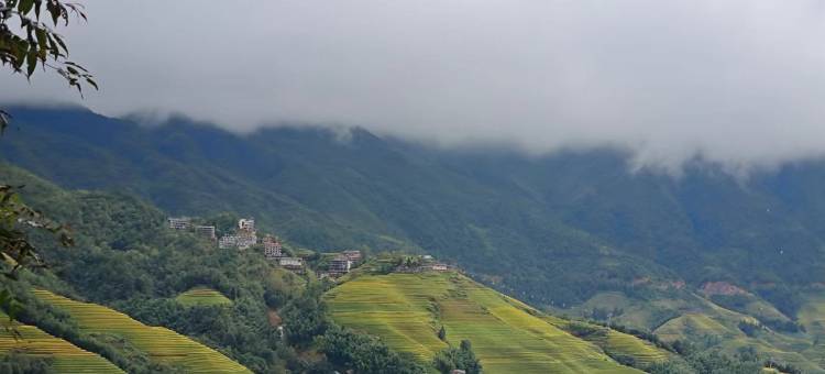 青禾一墅(龙脊梯田一号观景台店)图片