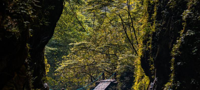 重庆朴乡金佛山度假酒店图片