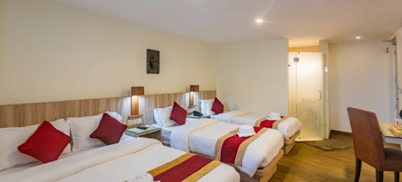 商誉酒店(Hotel Goodwill Patan Durbar Square, Kathmandu)图片