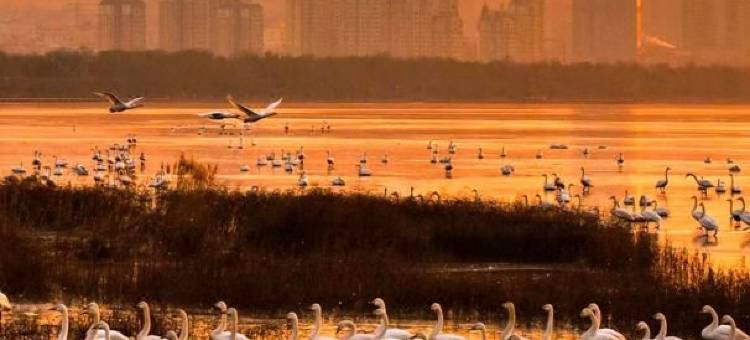 夕漫酒店(陕州区政府五彩城购物中心店)图片