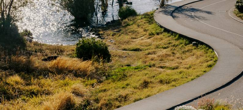 大理•张三的歌海景民宿(磻溪S湾洱海生态廊道店)图片