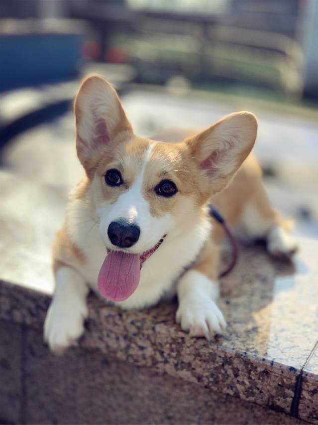 花筑·来野私汤villa民宿(太白山游客中心无山居店)图片