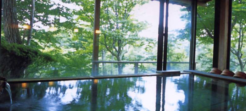 若喜日式旅馆(Wakaki Ryokan - Nasu Yumoto Onsen)图片