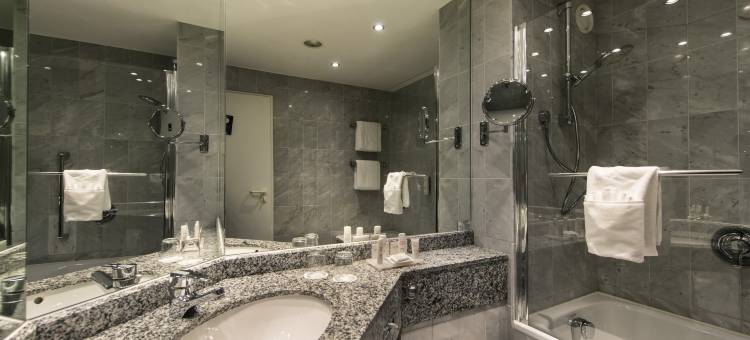 哈雷-梅泽堡丽笙酒店(Radisson Blu Hotel, Halle Merseburg)图片