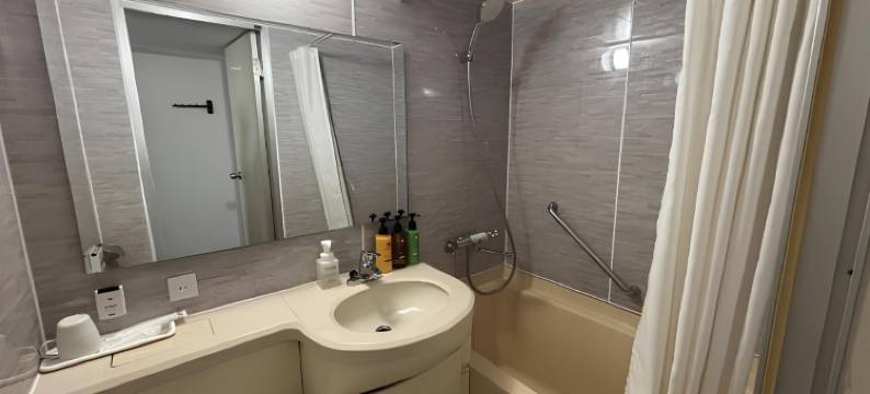 特托拉斯普利札幌酒店(Hotel Tetora Spirit Sapporo)图片