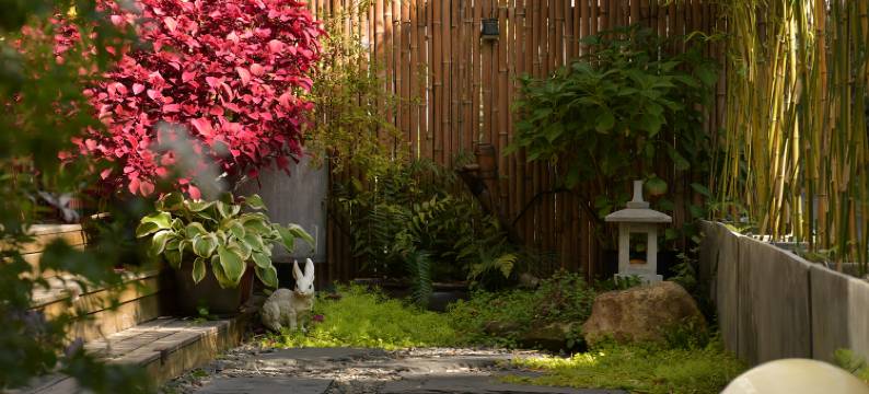 西湖己度民宿图片