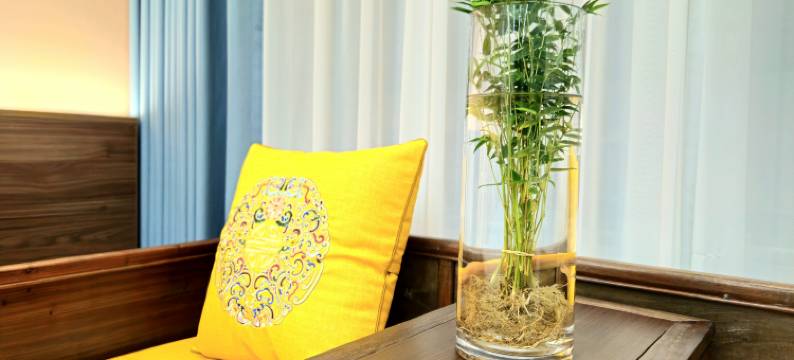 朱家尖元宿民宿(蜈蚣峙码头观音法界店)图片