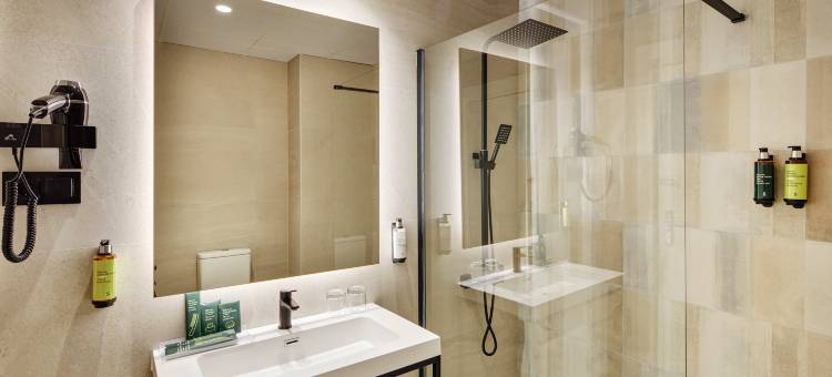 赛尔科特尔阿方索六世酒店(Sercotel Alfonso VI)图片