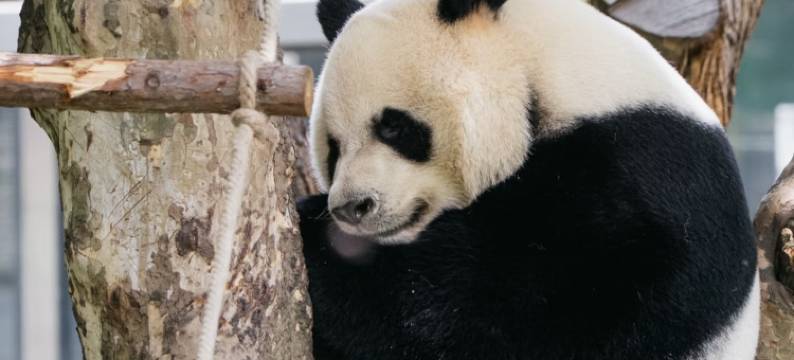 梵净小苑(贵州医科大学附属医院盐务街店)图片