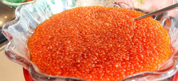 札幌艾米西亚酒店(Hotel Emisia Sapporo)图片