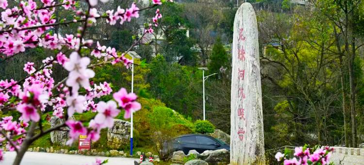 紫云轩酒店(尼珠河大峡谷店)图片